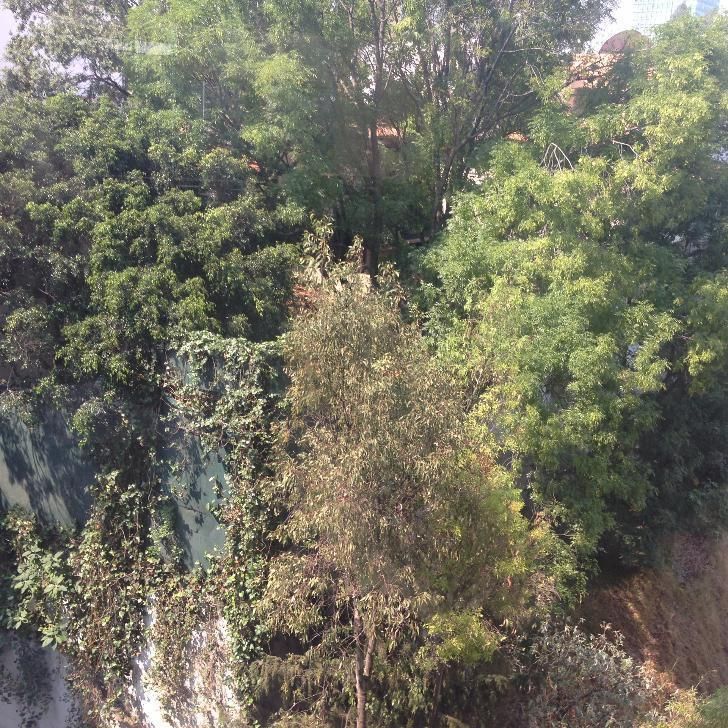 62, Bosque de Ocotes, Bosques de las Lomas, 05120 con 3 Recámaras, 3 Puestos de Estacionamiento, 3 Baños y 300 Metros Cuadrados 62, Bosque de Ocotes, Bosques de las Lomas, 05120 con 3 Recámaras, 3 Puestos de Estacionamiento, 3 Baños y 300 Metros Cuadrados